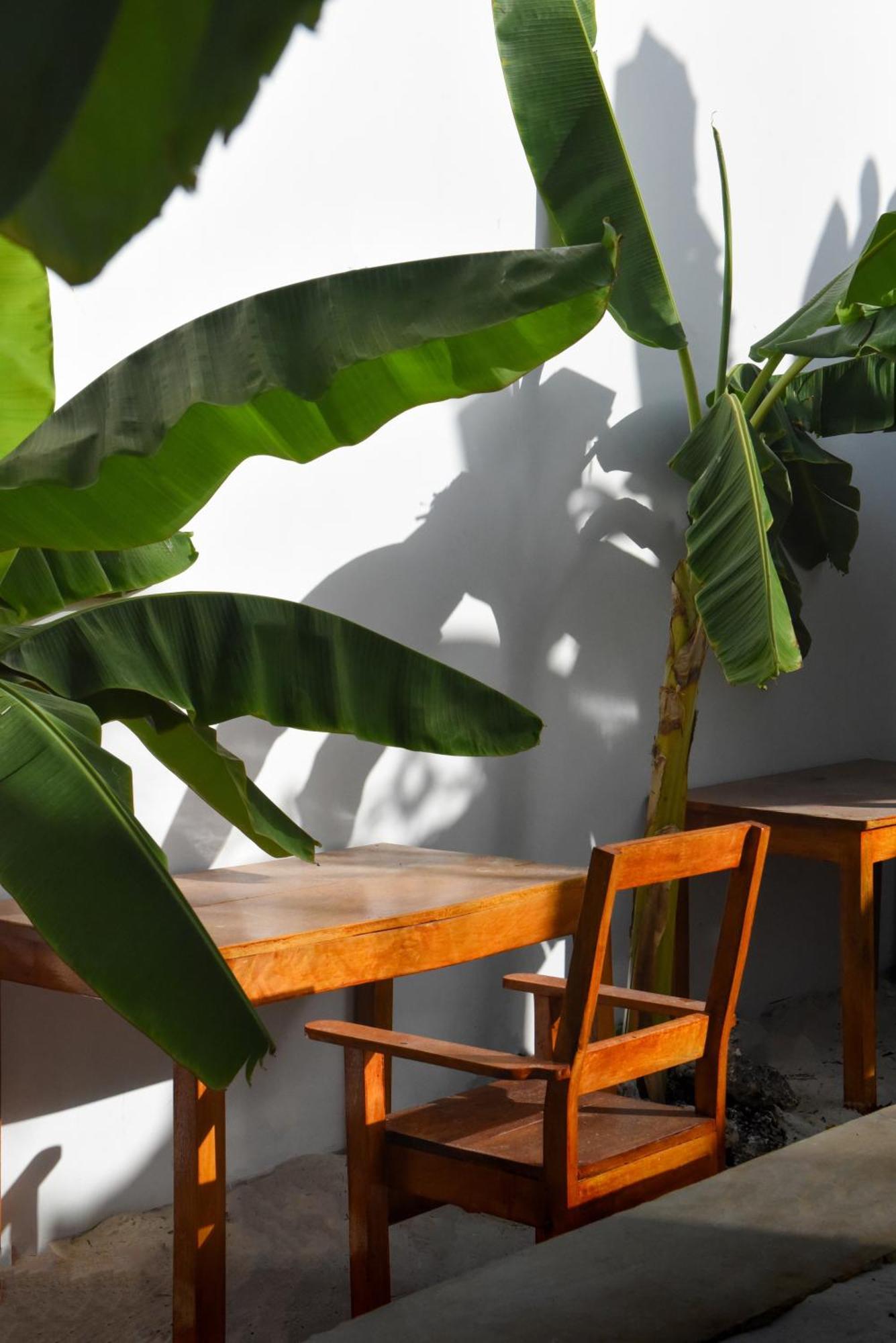 Dar Mar Hostel & Coworking 帕杰 外观 照片